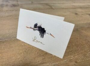 Geboortekaartje_oudhollands_drukken_printen_fullcolour_foliedruk